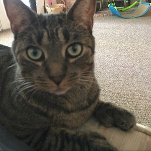 Meet your Posher, Cheryl